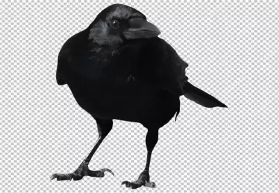 PNG