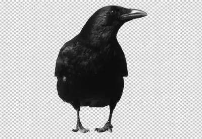 PNG