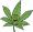 Marijuana Drawing Clipart