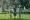 Three scouts in a field, saluting and two boys are wearing brown uniforms, and the girl is wearing a green uniform