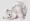 Cute white color cat innocent pose transparent backgroud