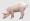 Pig Eating Something | pig grazing in the field Png