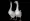 white goose | Two swans look up | Two Duck