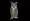 Great Horned Owl PNG