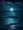 Tranquil Night Seascape with Sparkling Waters and Reflective Moon