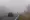 The fog autumn landscape dangerous road traffic in winter season | Car on the road