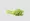 Fresh and Healthy Celery Stalks Top View Layout of Delicious Vegetarian Food Isolated on transparent background 