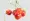 Close-up of cherries over PNG background