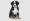 Cute sweet puppy of king charles spaniel cute dog or pet posing with ball on white