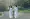 Two Vietnamese women in traditional ao dai dresses walking on a road