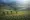 A group of people working in a rice field and field is located in a valley with surrounded by mountains