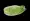 Leaf Of Green Cabbage Isolated On Alpha Layer