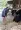 Woman feeding cows in a barn and woman is wearing a cowboy hat, a plaid shirt, and denim shorts