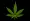 Cannabis Leaf png