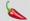 Single chili | jalapeno chili pepper chili pepper red chili hot pepper