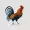 Rooster isolated on