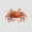 Crab on isolated transparent BG