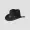 Fedora hats arrangement in studio PNG