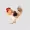 Close up on beautiful chicken PNG BG