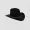 Cowboy hat and mustache on transparent background