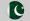 Pakistan flags icon