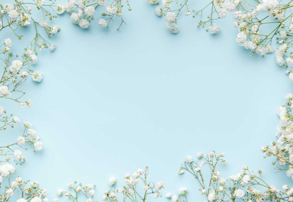 Free Download Premium Stock Photos | Pro Photographer Flowers known as gypsophila or baby is breath, both white in colour, set against a blue background. Pro Photographer