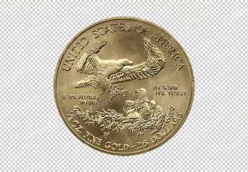 American Gold Eagle 1/2 Oz Common Date